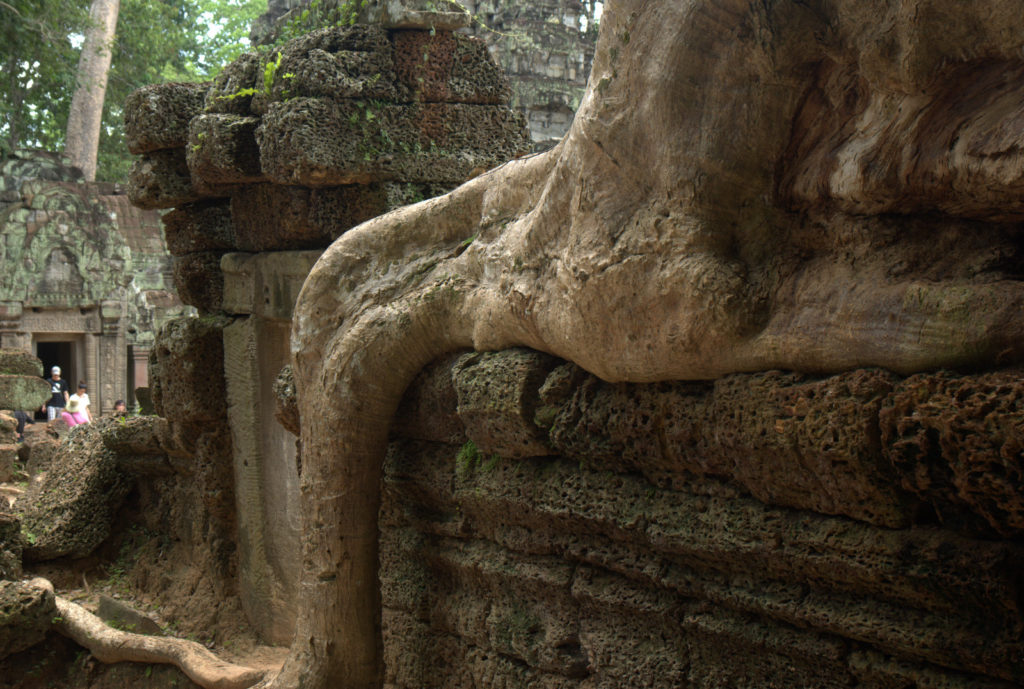W stolicy Khmerów (Angkor Wat) 43